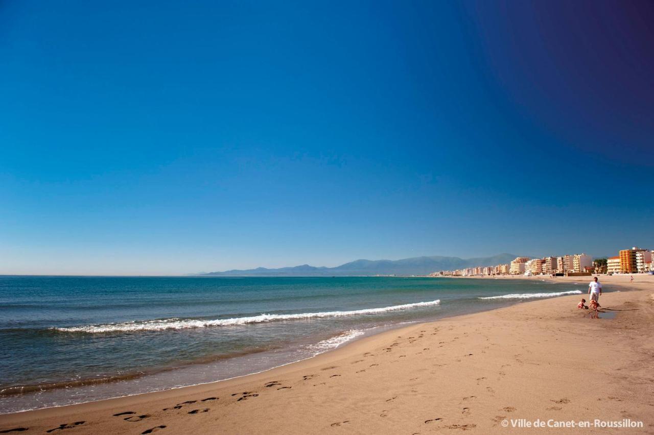 "Mediterranee" Salon Vue Mer Au Coeur De La Ville 10M De La Plage Кане-ан-Руссійон Екстер'єр фото