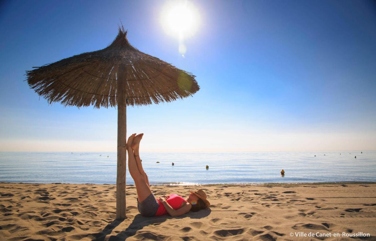 "Mediterranee" Salon Vue Mer Au Coeur De La Ville 10M De La Plage Кане-ан-Руссійон Екстер'єр фото